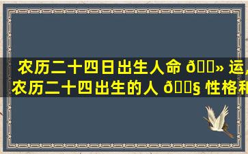 农历二十四日出生人命 🌻 运,农历二十四出生的人 🐧 性格和命运